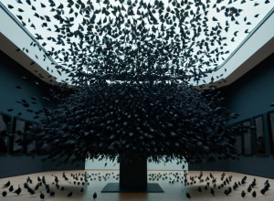 MACBA Отмечает 30-летие Выставкой "Как Танец Скворцов": Новый Взгляд на Коллекцию