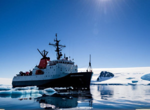 Загадочная находка в Антарктиде
