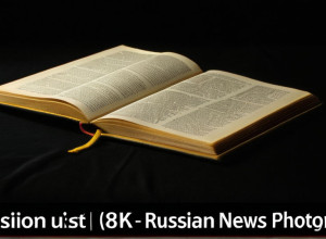 Русский язык: Основы грамматики