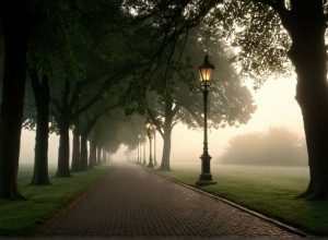 В Хаэне найдены мертвыми две девушки-подростка: полиция расследует предполагаемое самоубийство
