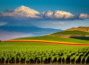 Отношения между Арменией и Азербайджаном: перспективы и вызовы