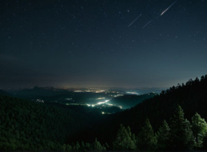 Манифест темноты: Как световое загрязнение угрожает ночной жизни планеты