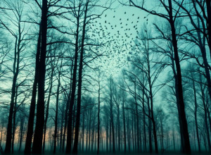 Загадка поющих скворцов: Новый роман Жан-Ива Жуанне о денацификации и идеологиях