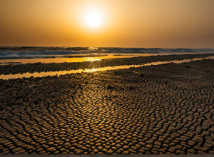 Глобальное потепление и его последствия