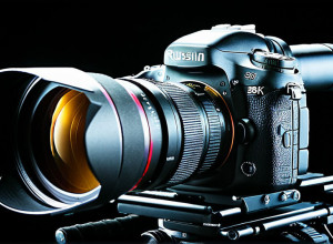 Русский язык