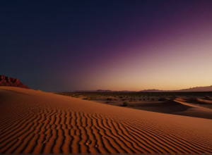 Посредники по Газе призывают к немедленному продвижению мирного плана на фоне угрозы краха