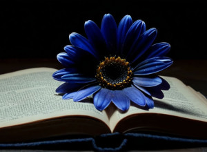 История выздоровления Нивес Пуэйс: как поэзия помогла преодолеть анорексию