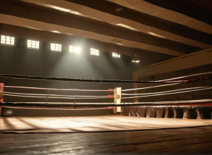 Надежда на ринге: как бокс объединял враждующие стороны в Северной Ирландии