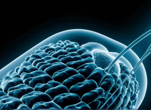 Daiichi Sankyo: Инновации и Устойчивое Развитие как Основа Научного Прогресса