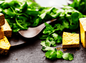 Tofu Landeira: Как Пара Превратила Заброшенные Земли Галисии в Соевый Рай