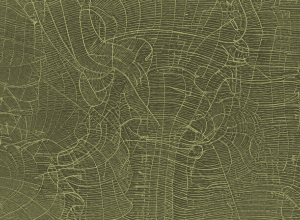 Трамп продлил срок продажи TikTok в США