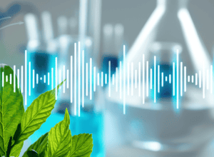 Растения «слышат» звуки поедания гусениц: научное открытие