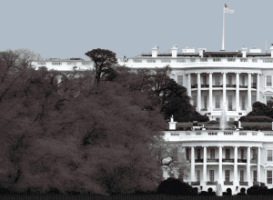 Экономика сдерживает Трампа