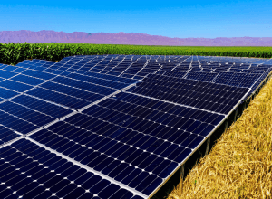 Революция в солнечной энергетике: Новая технология панелей достигает рекордной эффективности и низкой стоимости