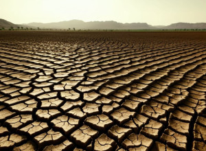 Климатический кризис и глобальная нехватка продовольствия: вызовы и решения