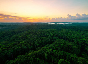 Протест коренных народов прервал саммит COP30 в Амазонии: "Наша земля не продается"