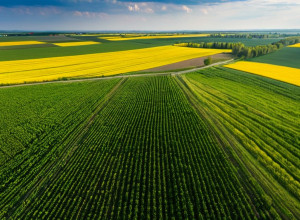 Путешествие по России: От Москвы до Камчатки