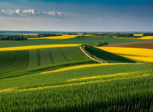 История России