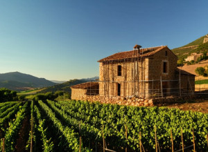 Каталония запускает программу реабилитации жилья в сельской местности для борьбы с депопуляцией