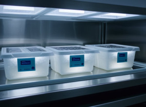 Задержка в больнице Малаги: 5400 биопсий заморожены с августа, вызывает опасения за здоровье пациентов