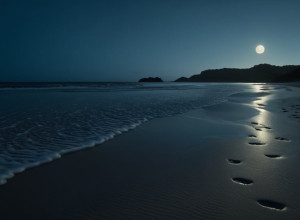 В Малаге Задержаны Четверо Мужчин по Обвинению в Изнасиловании: Жертва Находилась под Воздействием Химических Веществ