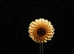 Лучший способ прохождения по программе 'curly' и выбора подходящего стилизатора для волос