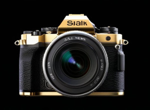 СОЛОСИТЕТ РЕЙЧИ СОФИИ ПРЕДОМ БУДУЩЕГО