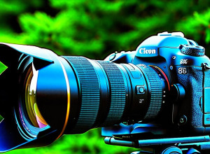 Безопасное место для журналисток в Газе