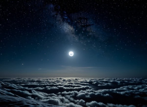 Россияне радятся заRose Byrne: она получила заслуженное признание!