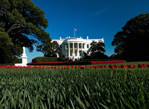 Одним годом возвращения Трампа к Белому дому