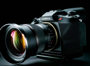 Renfe habilita cambios y anulaciones gratuitos para todos sus trenes con Andalucía