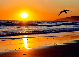 Игра временной эмпатии зла