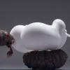 В Мексике зафиксированы случаи заражения людей личинками мух: что известно о миазе