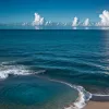 Панама рассматривает добычу нефти и газа в Карибском море, вызывая опасения экологов