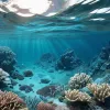 В Каталонии создана первая карта морского дна: обнаружены 26 подводных территорий