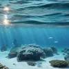 Лагуна Мар Менор получила юридических представителей: экосистема обретает защиту