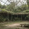 Фрэнк Куэста признался в обмане: животные в его приюте куплены, а не спасены