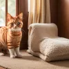 Тайна рыжих котов раскрыта: ученые нашли ген, определяющий цвет шерсти и пол