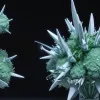ВОЗ обеспокоена: новый вариант COVID-19 NB.1.8.1 распространяется, но риски пока низкие