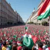Выборы в Верховный суд Мексики: итоги, участие и реакция