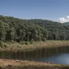 Никарагуанские поселенцы переходят границу: экологическая катастрофа у границ Коста-Рики