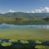 Эксперты подтвердили: водохранилище Ас-Кончас в Испании катастрофически загрязнено
