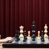 Ананд демонстрирует мастерство: экс-чемпион мира по шахматам обыгрывает Эригаиси