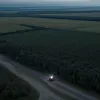 Поиски тела жертвы «Короля Качопо» завершены безрезультатно: что произошло