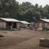 Рабский труд в Испании: Мигранты платили за возможность работать и жить в нечеловеческих условиях
