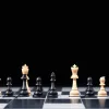 Шахматный анализ: Как проигрывать без ошибок