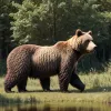 Как научиться сосуществовать с гризли: опыт Канады и Аляски