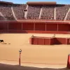 Прощание с легендой: Фернандо Робреньо завершил карьеру на фоне неудачного боя быков