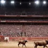 Фиаско на корриде в Вик-Фезенсак: Saltillo обманули зрителей