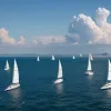Парусный спорт будущего: катамараны SailGP F50 взлетают на новый уровень
